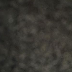 Meet your Posher, Bobby